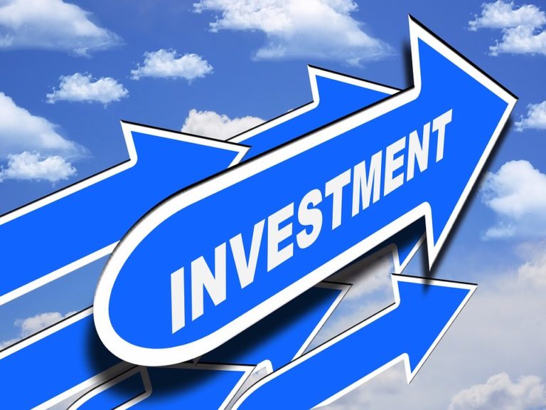 DRAFT Revised Investment Procedure